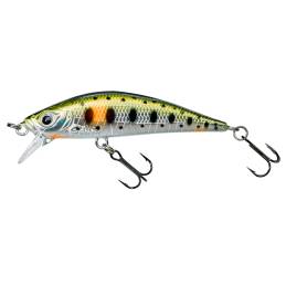 Gunki Gamera 50 SP Spot Green Trout leurre truite perche