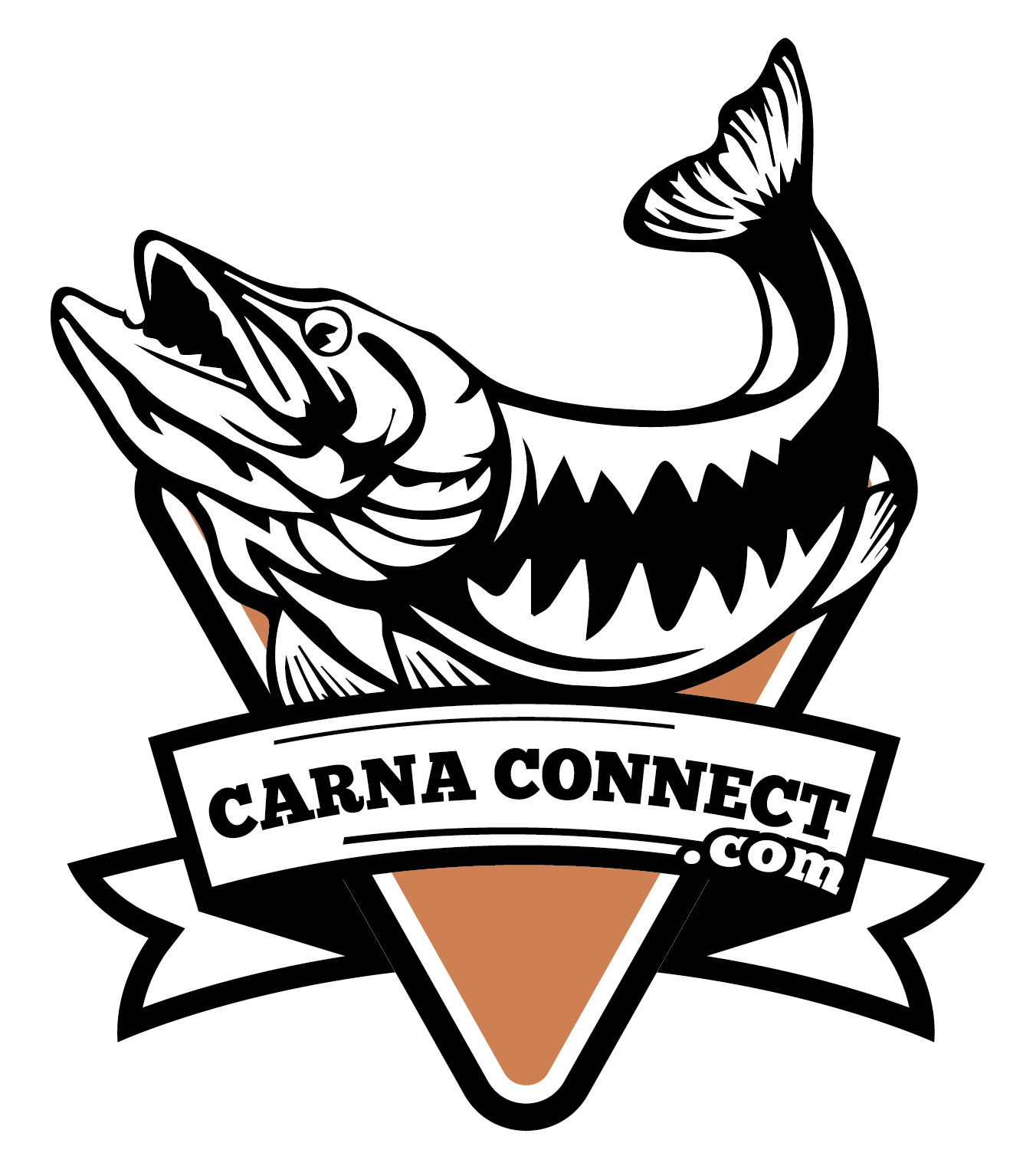 Carpe Connect logo